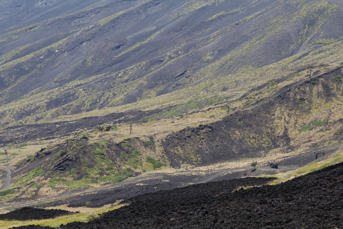 Vegetation, Lava, and Ash, Mount Etna, Sicily